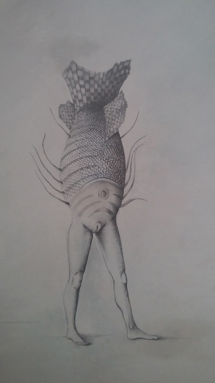 pencil drawing of a reversed siren hybrid