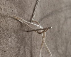 a needle stuck in earth dyed canvas with embroidery