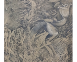 scratched earth drawing