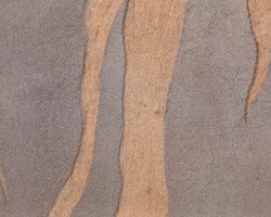 a closeup of an earth relief painting